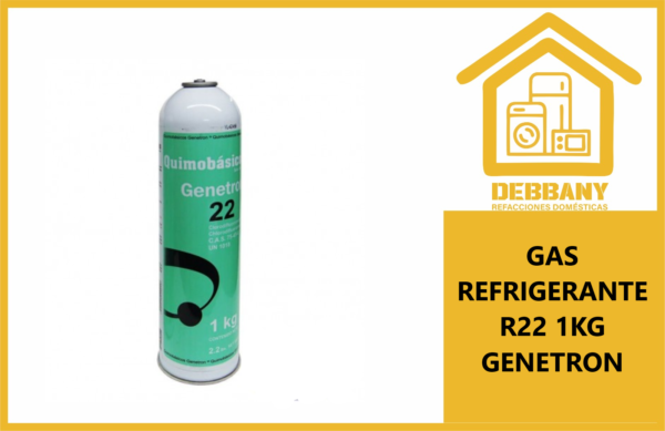 GAS R22 DE 1KG